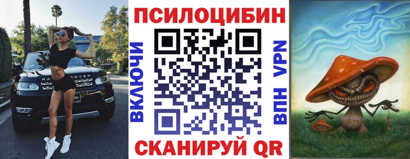 Псилоцибиновые грибы мухоморы  OMG маркетплейс  Циолковский 