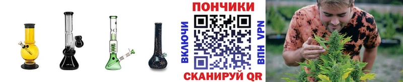 сколько стоит  Циолковский  МАРИХУАНА сатива 